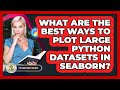 What Are The Best Ways To Plot Large Python Datasets In Seaborn? - Python Code School