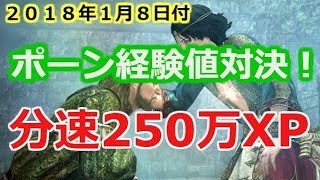 【ddon】ポーン経験値　分速２５０万XPはどっち！？