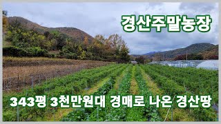 [취하]경산텃밭 343평 3천만원대 법원경매로 나온 경산땅 가져가세요