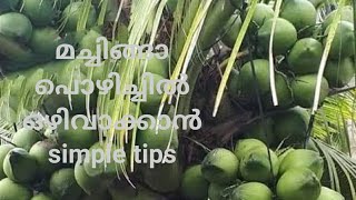 മച്ചിങ്ങാ പൊഴിച്ചിൽ ഒഴിവാക്കാൻ SIMPLE TIPS # namukkumkrishicheyyam