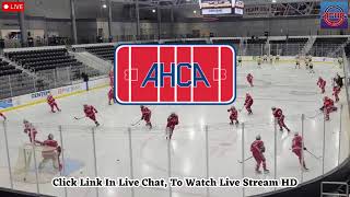 University of California-Davis vs Park University Men's Ice Hockey 1/18/2025