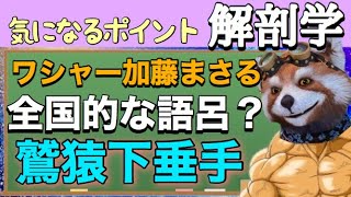 【神経】この語呂合わせは全国区ですか？【PT・OT国家試験対策】