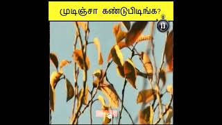 முடிஞ்சா கண்டுபிடிங்க | Illusions | Test your mind | Detective riddles | Haritha illusions