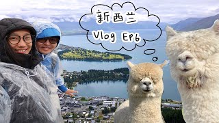 新西兰环岛游VLOG Ep6｜皇后镇天空滑板车｜在狂风暴雨中游米佛峡湾｜骗了饭却不给撸的超萌羊驼｜Skyline Queenstown｜Milford Sound｜Alpaca Farm Tour