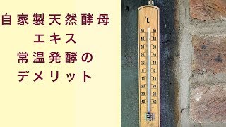 自家製天然酵母エキス　常温発酵のデメリット　フルーツ酵母　自家製天然酵母　パン教室　教室開業　大阪　奈良　東京　福岡　名古屋