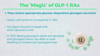 Mechanism of Action for GLP 1 RAs: "The How"
