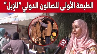 إنطلاق فعاليات الطبعة الأولى للصالون الدولي للإبل بـ #ورقلة.. شاهد: