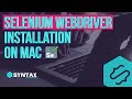 Selenium WebDriver Installation with Eclipse | How to Install Selenium WebDriver on Mac | Syntax TV