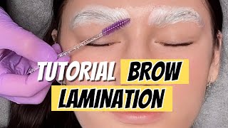 BROW LAMINATION⎥Easy Tutorial: How To Do Brow Lamination [Thuya \u0026 Bronsun]