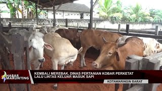 DINAS PERTANIAN KOBAR PERKETAT LALU LINTAS KELUAR MASUK SAPI