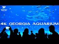 4K GEORGIA AQUARIUM Walkthrough! The JURASSIC WORLD of Aquariums!