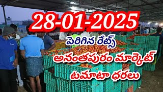 Anantapur Tomato market Rates/today tomato rates #agriculture #tomato #Tomato rates #farming #tomato