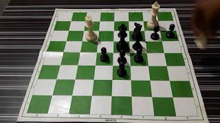 Chess  Game Puzzle For Beginners