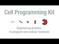 Cell Programming Kit - Elowitz Lab