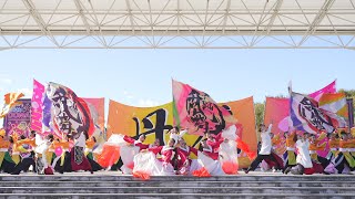 [4K] 名古屋大学“快踊乱舞”　どまつりinモリコロパーク 2024 日曜日