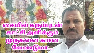 செட்டிகுளம் முருகன் கோவில் | Chettikulam murugan temple | Murugan temple