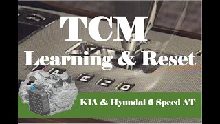 TCM Learning and Adaptive Value Reset