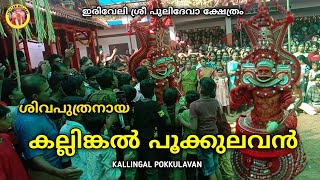 ഇരിവേരി കാവിലെ കല്ലിങ്കൽ പൂക്കുലവൻ തെയ്യം🙏Kallingal pokkulavan #theyyam