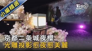 京都二条城夜櫻 光雕投影愈夜愈美麗｜TVBS新聞 @TVBSNEWS02