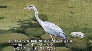 참회록 - 윤동주 / 낭송 박태서