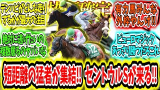 『【枠順確定】短距離猛者集結‼セントウルステークスが来る‼』に対するみんなの反応【競馬の反応集】