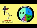 p53 tumour suppressor and mdm2