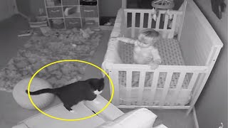A Hero Cat Saves Baby From Babysitter ,You won't believe it !!! .