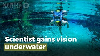 Scientist Gains Vision Underwater