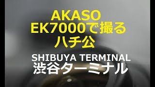 AKASO EK7000で撮るハチ公【渋谷ターミナル】