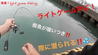 【ライトゲーム】根魚！カサゴなど、根に潜られた時の対処法‼️🔰