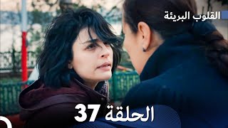 القلوب البريئة - الحلقة 37 (Arabic Dubbing) FULL HD