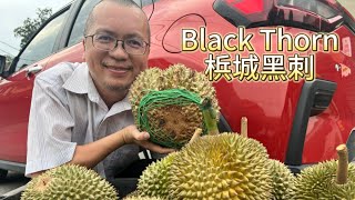 Black Thorn Durian from Penang 🇲🇾 马来西亚 🇲🇾 梹城 黑刺 榴莲