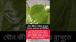 পানের উপকারিতা #উদ্ভিদ_ও_অন্যান্য #agriculture #farming #nature #gardening #plants