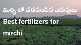 మిర్చి లో వడవలసిన ఎరువులు | Best fertilizers for mirchi | glsfarming # Mirchi Festilizer information