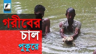 ভিজিএফের চাল উদ্ধার পুকুর থেকে