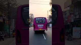 Beautiful 💗Pink💓 Colour 💕 SERA 💕 Travels Bus Back and Front Profile. #shorts #ashokleylandbus