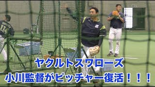 【2019ヤクルト沖縄キャンプ】甲子園優勝投手小川監督がピッチャー復活登板！！