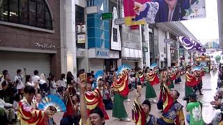 高松よさこい連～2017高知よさこい祭り本祭(帯屋筋)