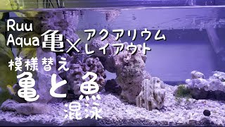 亀アクアリウム★海水風レイアウト※これ、淡水です！ミシシッピニオイガメ