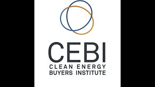 The Clean Energy Buyers Institute: Beyond the Megawatt Initiative