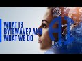 What is Bytewave? and What We Do