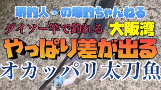 【大阪お魚調査】太刀魚編第2弾　やっぱり差が出るオカッパリ太刀魚　大阪湾