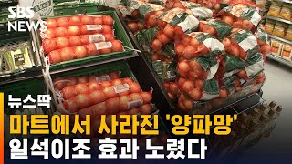 마트에서 사라진 '양파망'…일석이조 효과 노렸다 / SBS / 뉴스딱