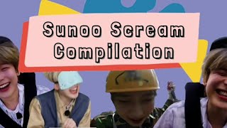 Sunoo Scream Compilation || Kompilasi Teriakan Sunoo