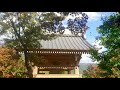 群馬県桐生市 宝徳寺「床もみじ」