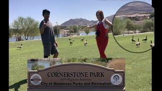 Henderson Parks & Recreation,Park in the Clark County,Neavada
