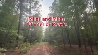 64.05 Acres For Sale- Oglethorpe County, Ga