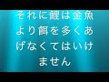 金魚と鯉飼うならどっち？