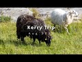 Kerry Trip Vlog August 2022