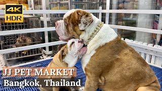 [BANGKOK] Chatuchak Weekend Market Pet Zone - 